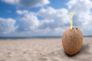 coconut, nature, refreshment, sand, beach, sea, vacations, tropical, recovery